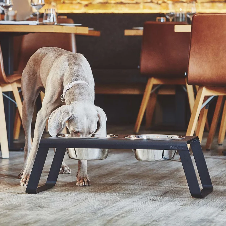 Desco Support pour écuelles pour chiens avec écuelles en acier inoxydable de MiaCara