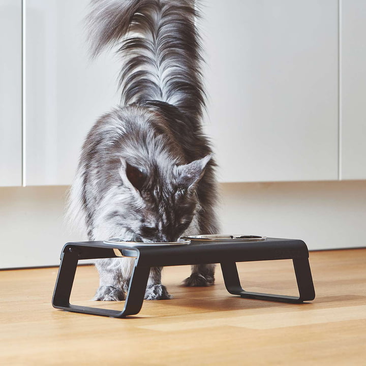 Desco Support pour gamelles pour chats avec écuelles en acier inoxydable de MiaCara