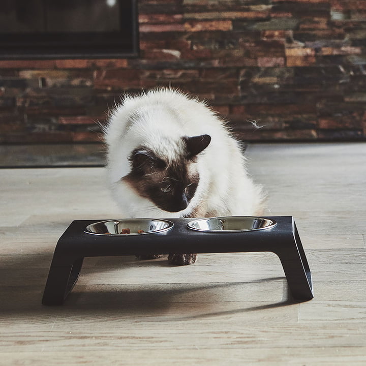 Desco Support pour gamelles pour chats avec écuelles en acier inoxydable de MiaCara