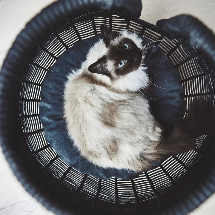 Perla Caverne pour chats de MiaCara