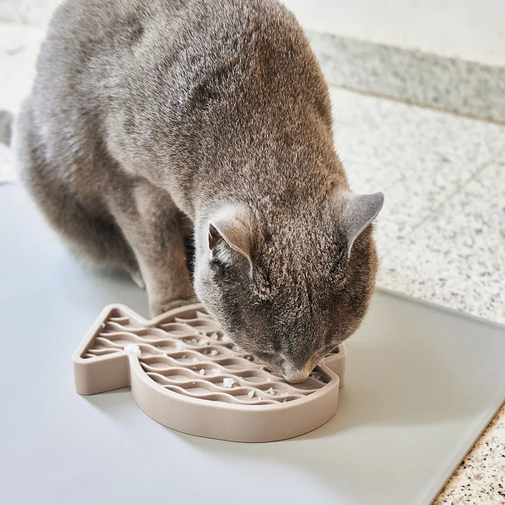 Pesce Jouets d'activités de MiaCara