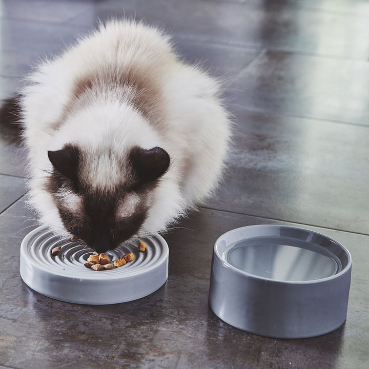 Piatto et Fresco gamelle pour chat S de MiaCara