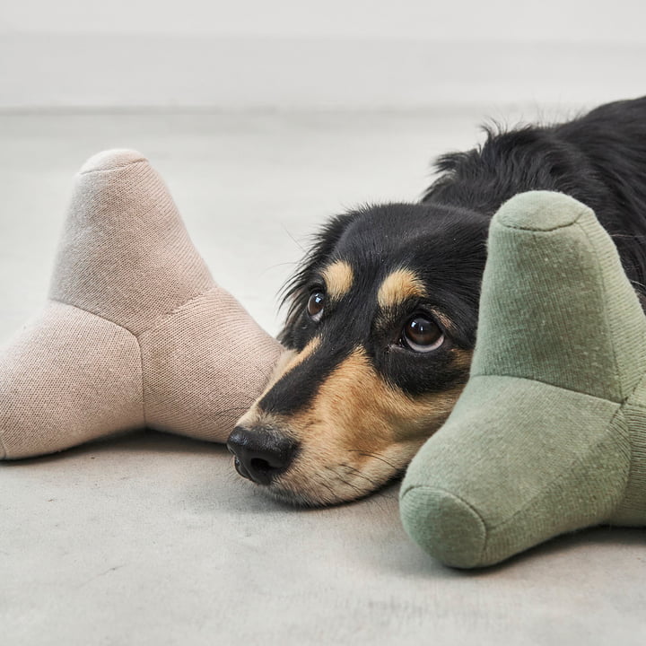 Quattro Jouets pour chiens de MiaCara