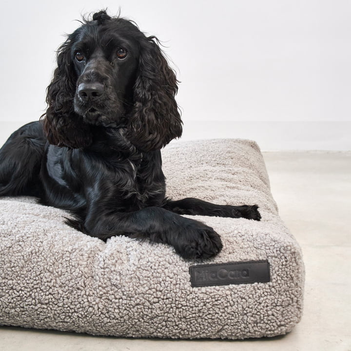 Senso Coussin pour chien de MiaCara