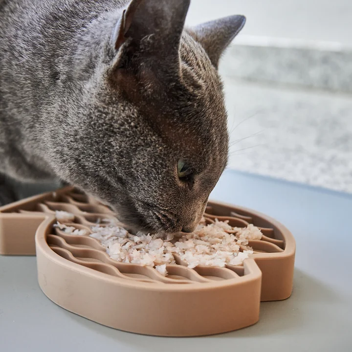 MiaCara - Pesce Jouets d'occupation pour chats, nude