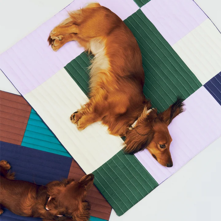 HAY - Dogs Couverture de voyage, 80 x 80 cm, lavande / vert / bleu