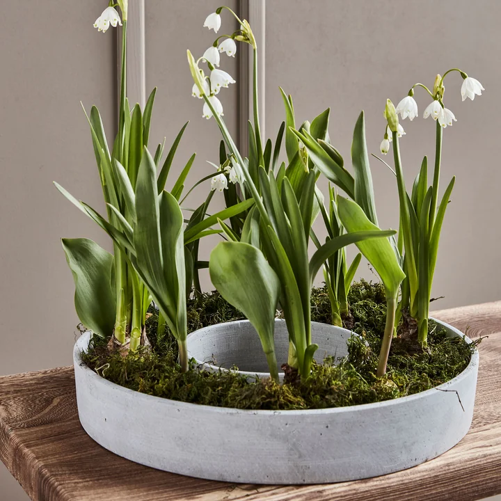 The Ring Chandelier de House Doctor en couleur grise