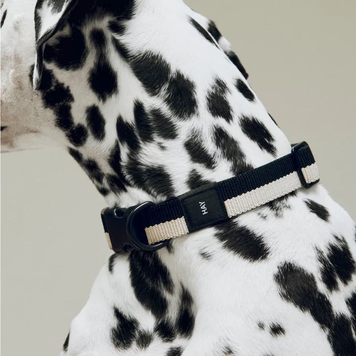 HAY - Dogs Collier de chien, M/L, noir / blanc