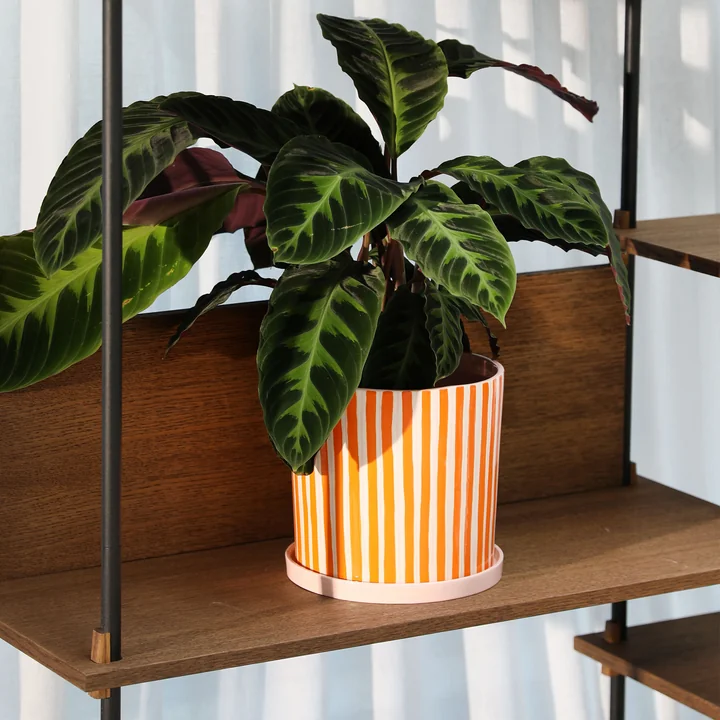 & klevering - Ray Pot de fleurs avec soucoupe, Ø 21,5 x 21 cm, orange / rose / blanc