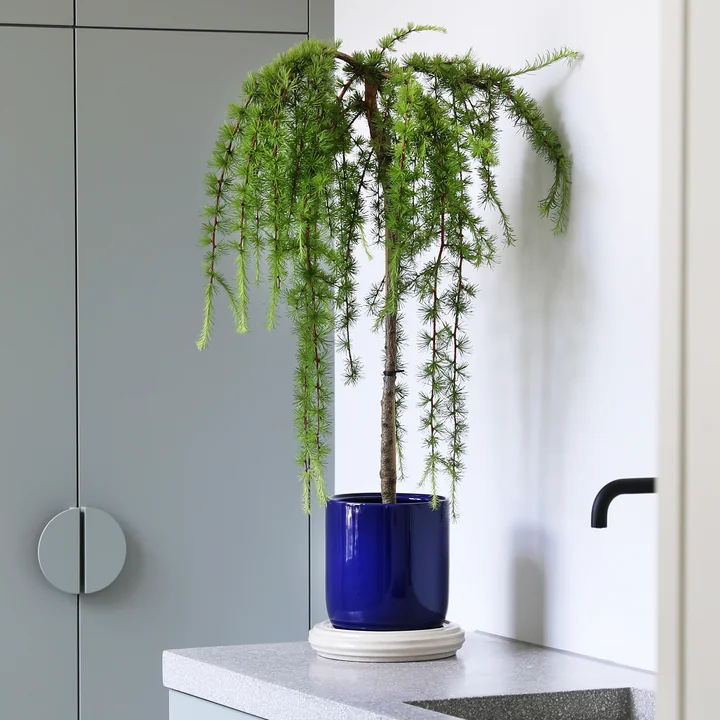 & klevering - Churros Pot de fleurs, Ø 24,5 x 25 cm, bleu / blanc