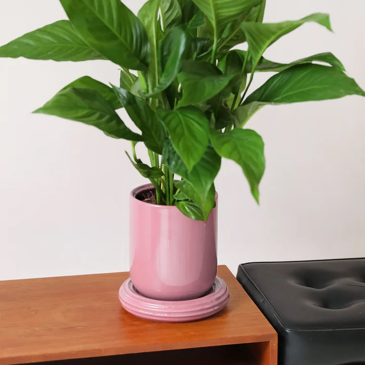 & klevering - Churros Pot de fleurs, Ø 19,5 x 21 cm, blush