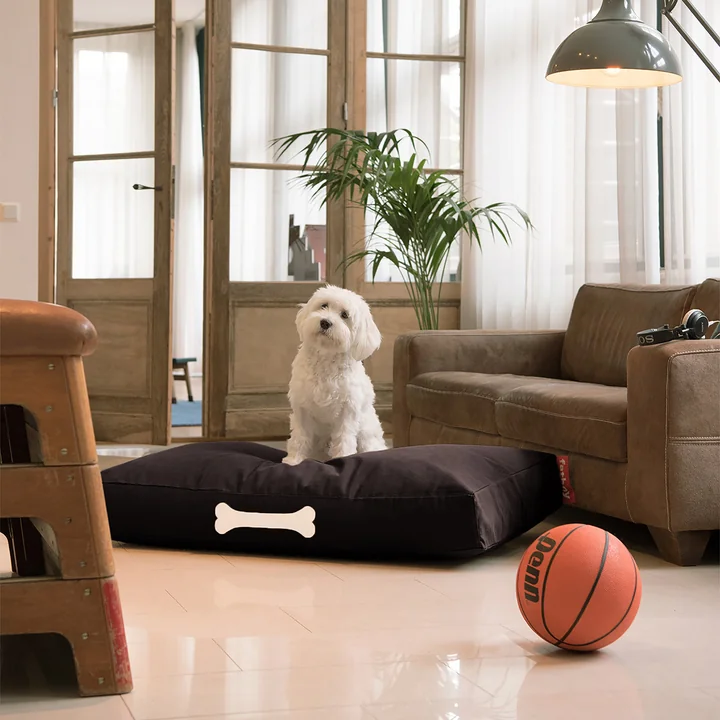 Fatboy - Toile Doggielounge