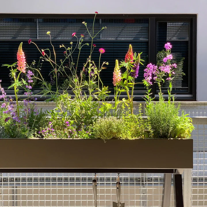 Weltevree - Gardenworks Bac à plantes