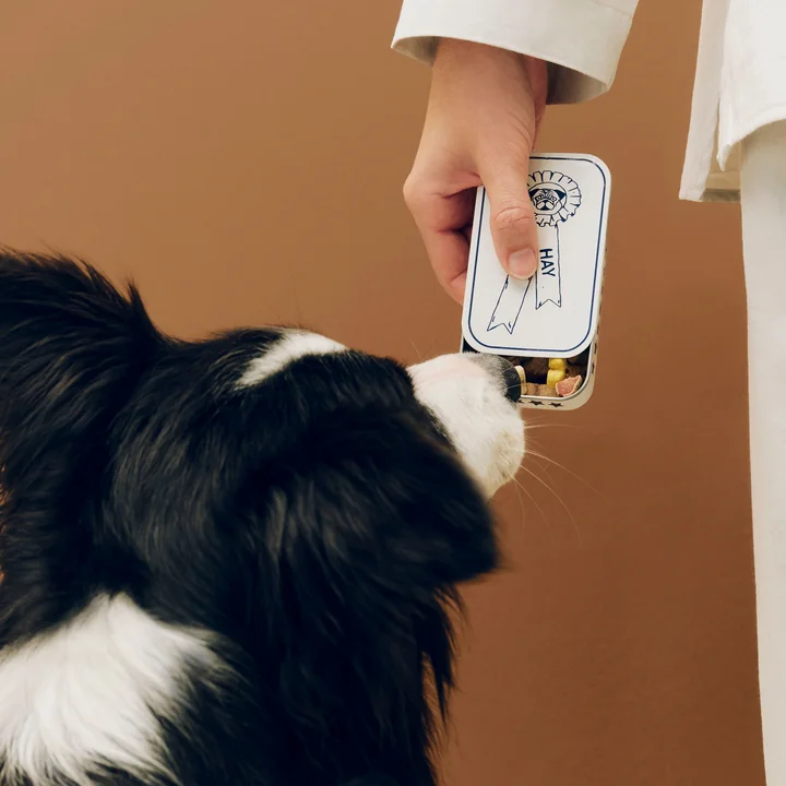 HAY - Dogs boîte à friandises S, bleu / blanc