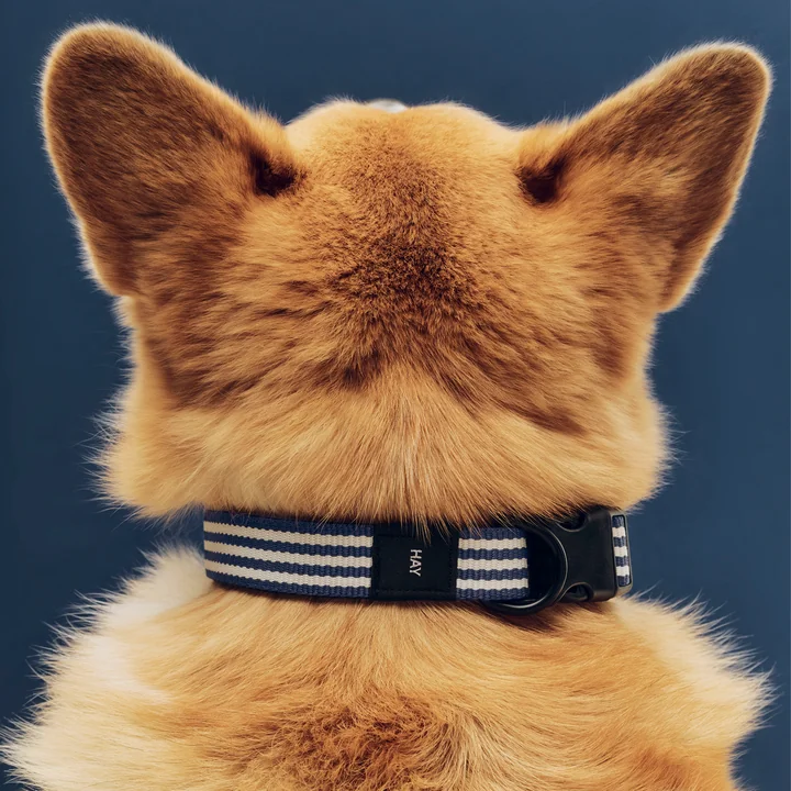 HAY - Dogs Collier de chien, M/L, bleu / rayures blanches