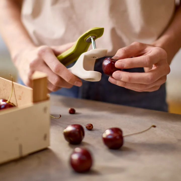 Joseph Joseph - Tweezy Épierreur 2 en 1, stone / green