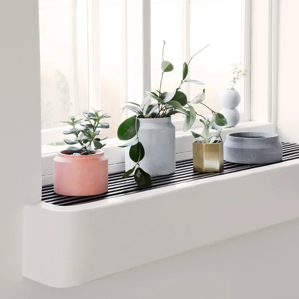 Diversité des tailles et couleurs