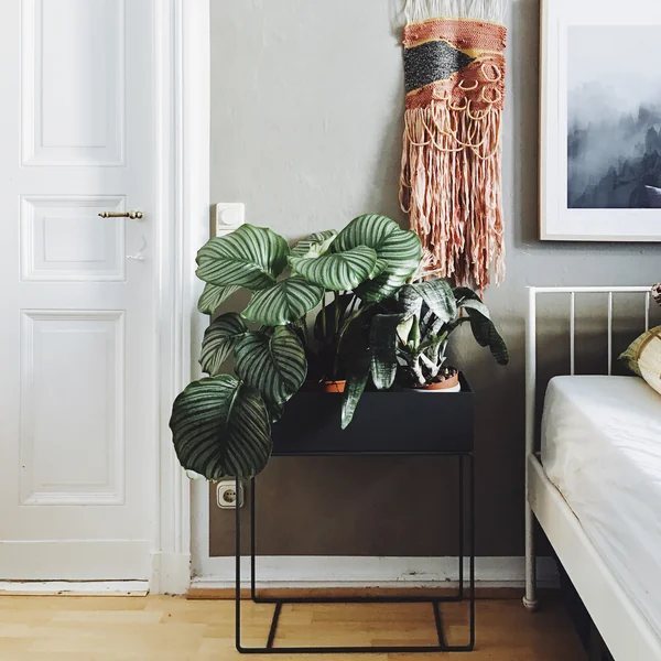 ferm Living - Plant Box gris foncé