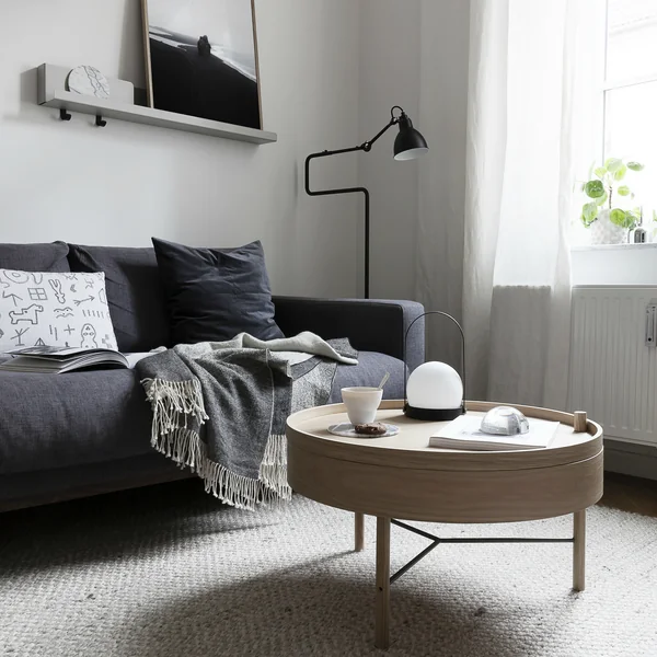 Salon dans un style d'aménagement moderne et scandinave