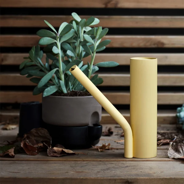 Arrosoir de tombe de Northern en jaune clair dans le jardin