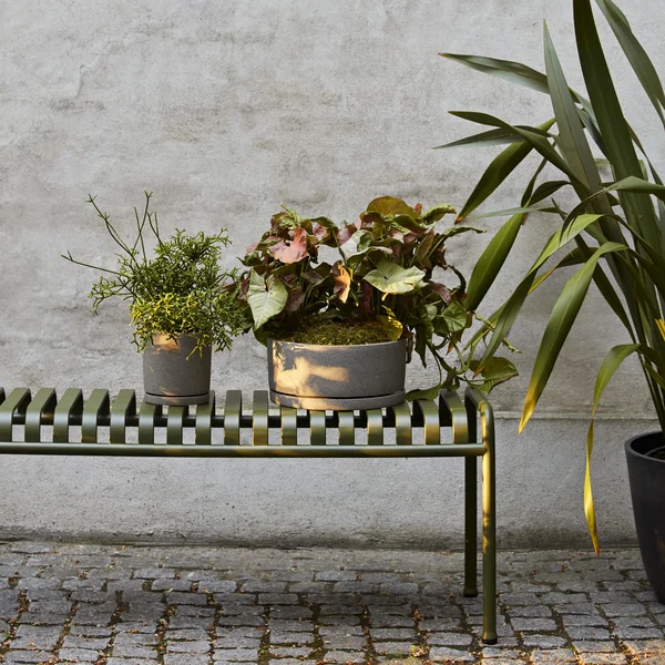 HAY - Palissade Banque