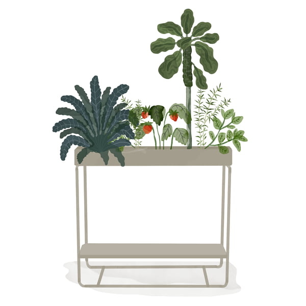 ferm Living _ Plant Box - deux niveaux - aquarelle