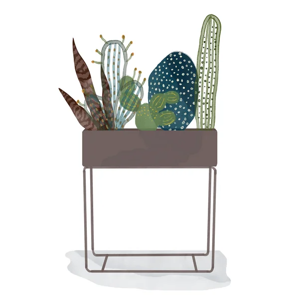 ferm Living - Plant Box - gris chaud - aquarelle
